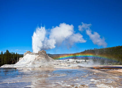 Geyser with rainbow in the steam